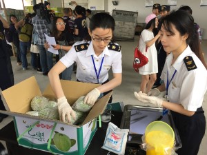 福建自貿區讓台灣水果搶「鮮」登陸 5月19日，710箱台灣水果搭載高速客滾輪「麗娜輪」自台北抵達福建平潭澳前口岸，成為福建自貿區平潭片區掛牌後首批「登陸」的台灣水果。圖為平潭的檢驗檢疫人員在對這批水果進行檢查。（新華社照片，記者∕許雪毅 攝）