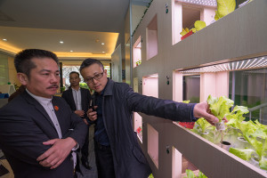在北京台資企業協會海澱分會，蕭俊丞（右一）在「植物工廠」設備前向來賓介紹。