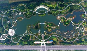 俯瞰天津濱海新區臨港經濟區的臨港生態濕地公園。 （新華社 岳月偉 攝）