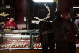 反盜獵志願者的行動企圖扭轉中國人熱衷購買象牙製品的形象。